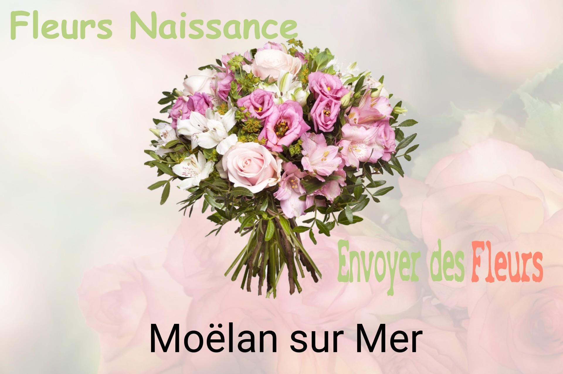 Bouquet de fleurs de naissance livré à Moëlan-sur-Mer